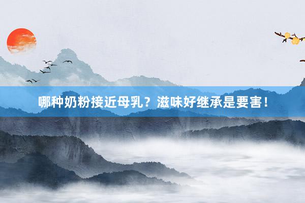 哪种奶粉接近母乳？滋味好继承是要害！